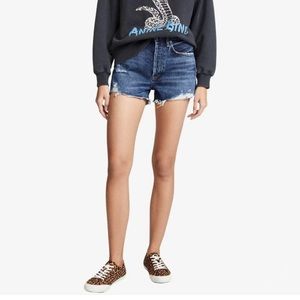 NWT Agolde Parker Vintage Cutoff Short / Size 27 / Manifest Wash